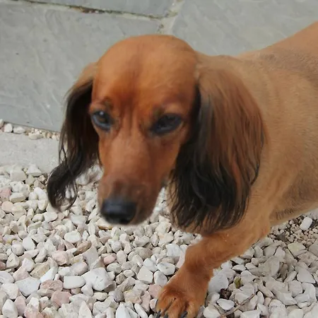 Casa Grimaldi Bed and breakfast